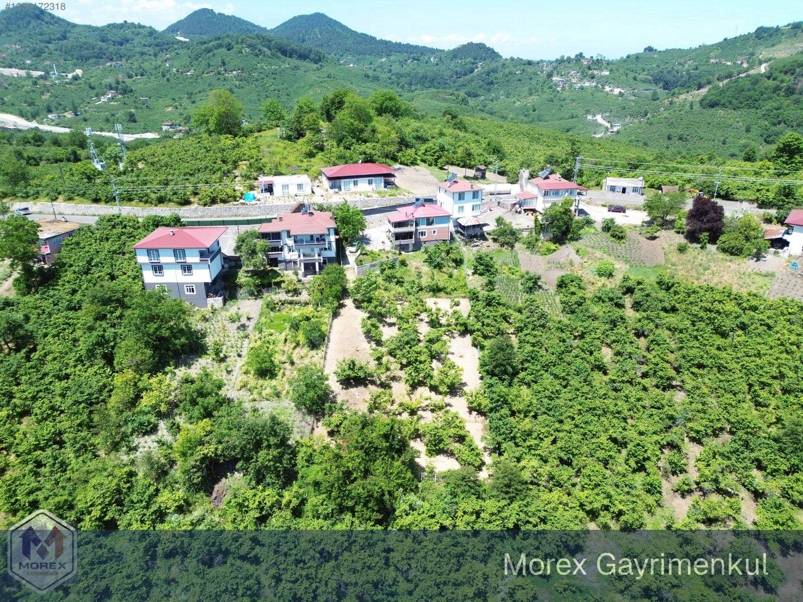 Müstakil evin bahçesi ve açık alanı